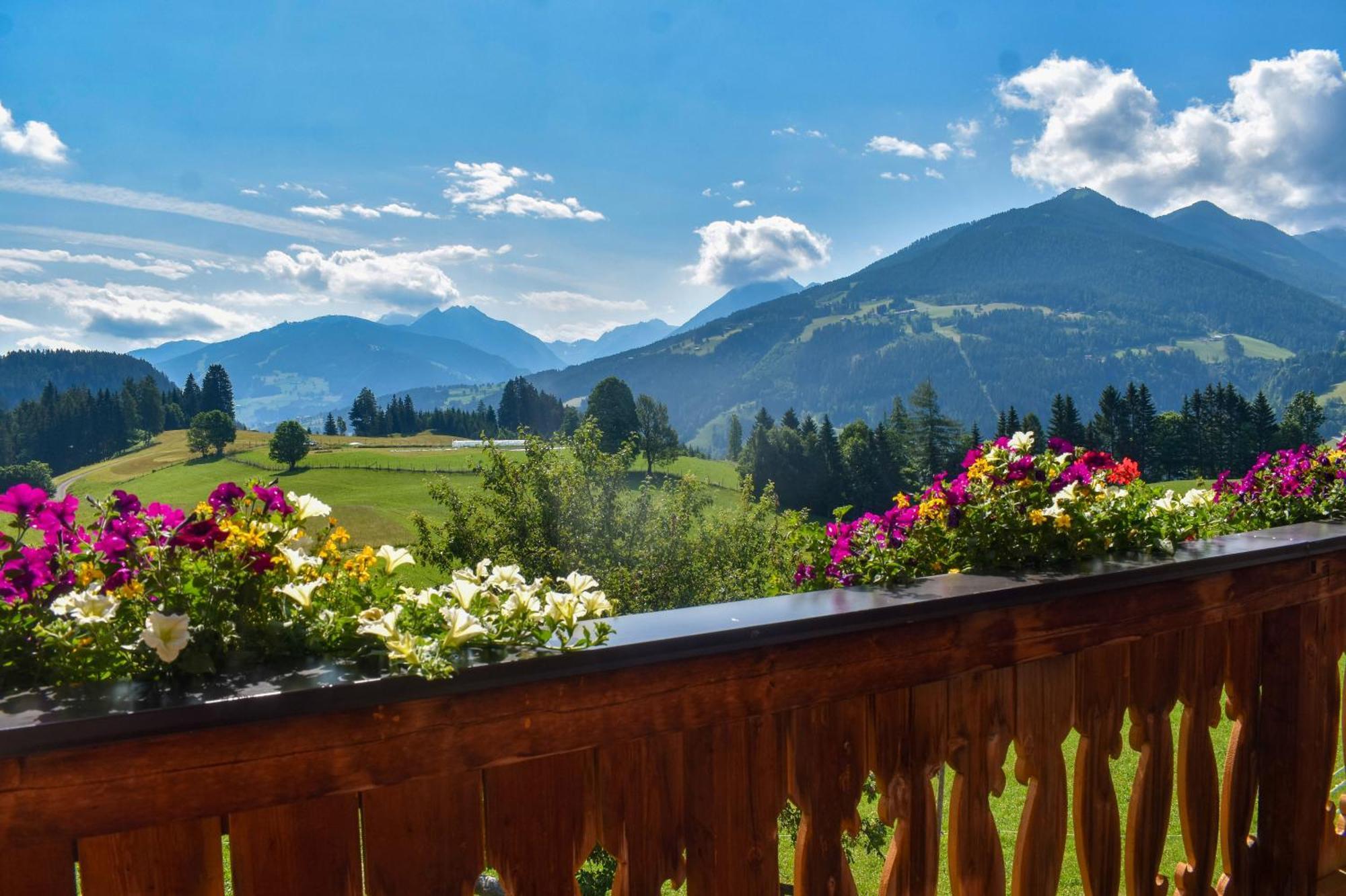 Stoanerhof Appartement Schladming Buitenkant foto