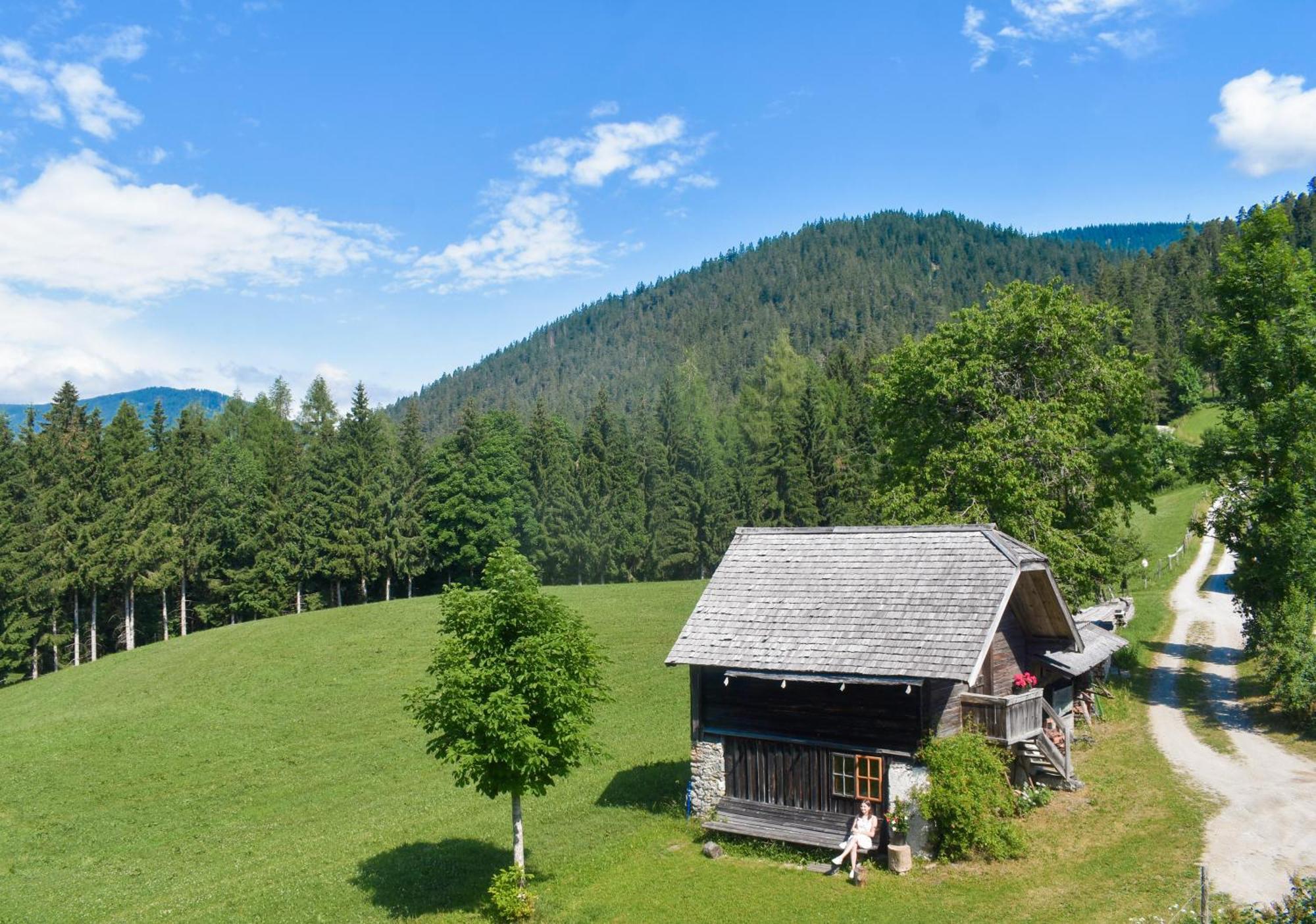 Stoanerhof Appartement Schladming Buitenkant foto